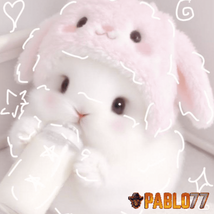 Banner PABLO77