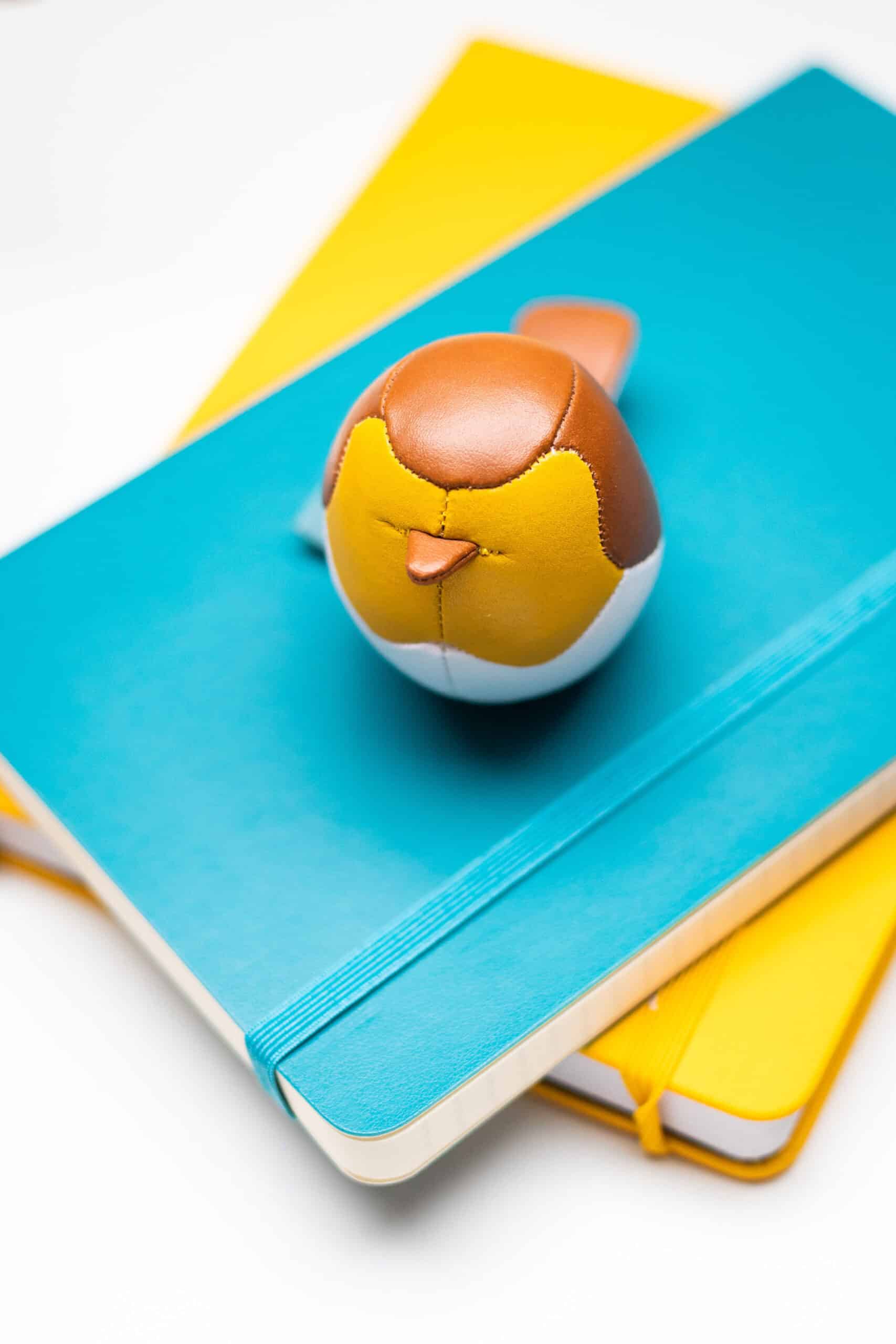 Leather Robin, Yellow and Blue Notebooks