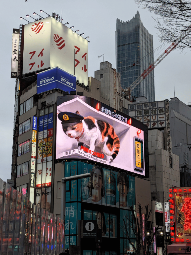 Shinjuku cat digital billboard Tokyo